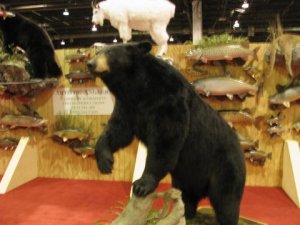 Big Game - America's Outdoor Show